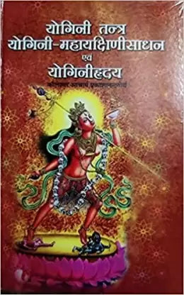 Yogini Tantra , Yogini Maha Yakshini Sadhan Evam Yogini Hriday (Hindi, Hardcover ( योगिनी तन्त्र ,योगिनी महायक्षिणीसाधन एवं योगिनीहृदय  ) By D.P.B Publication