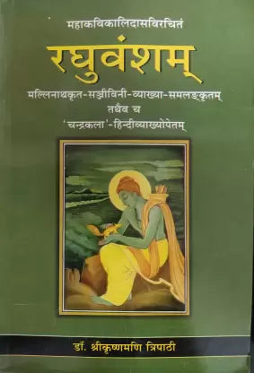 Raghuvansham (Sanskrit Text With Hindi Translation)  By Chaukhamba Publication